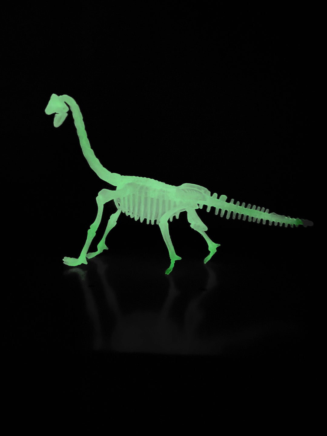 Glow In the Dark Dinosaur Skeleton Models