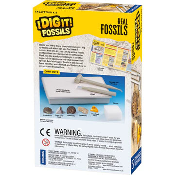 I Dig It! Fossils - Real Fossils Excavation Kit