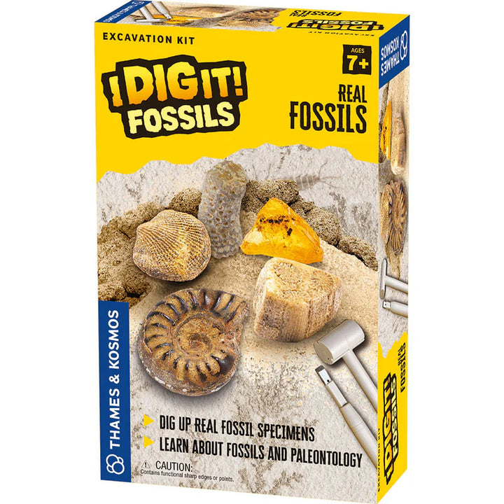 I Dig It! Fossils - Real Fossils Excavation Kit