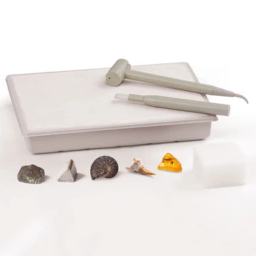 I Dig It! Fossils - Real Fossils Excavation Kit