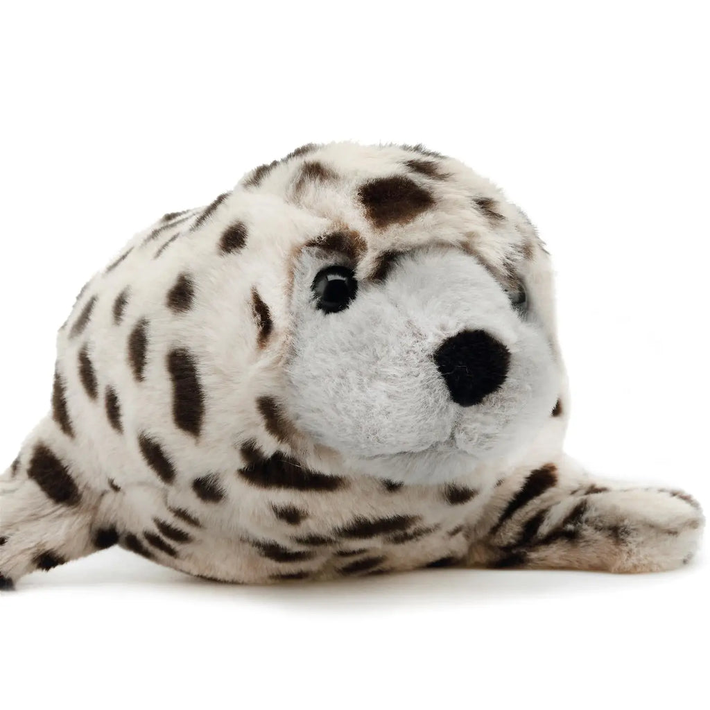 Simona the Spotted Seal