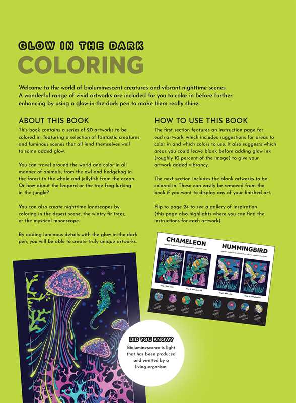 Glow in the Dark Coloring by Editors of Thunder Bay Press: Paperback; 56 pages / English