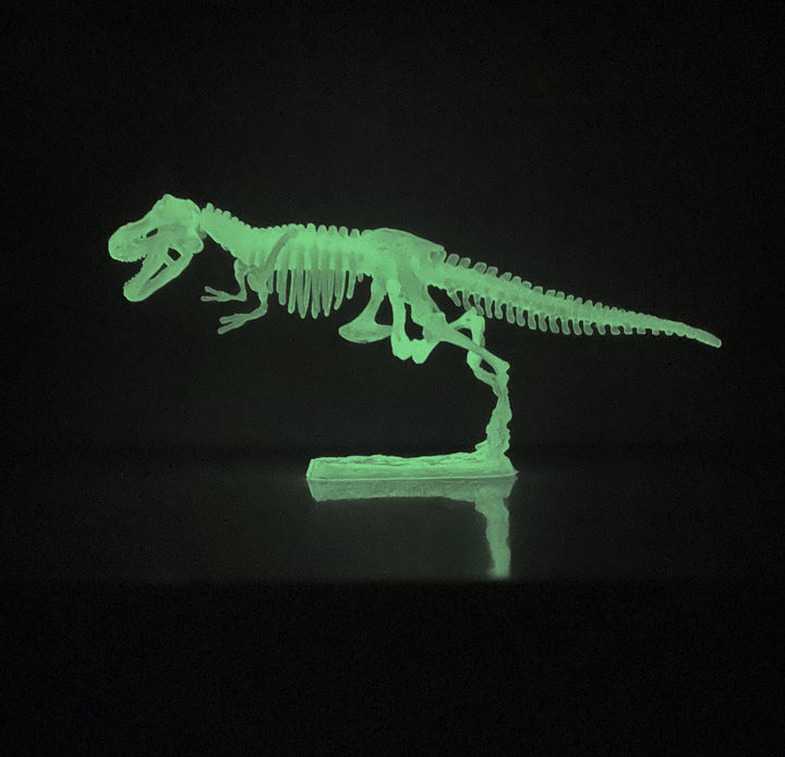 Glow In the Dark Dinosaur Skeleton Models