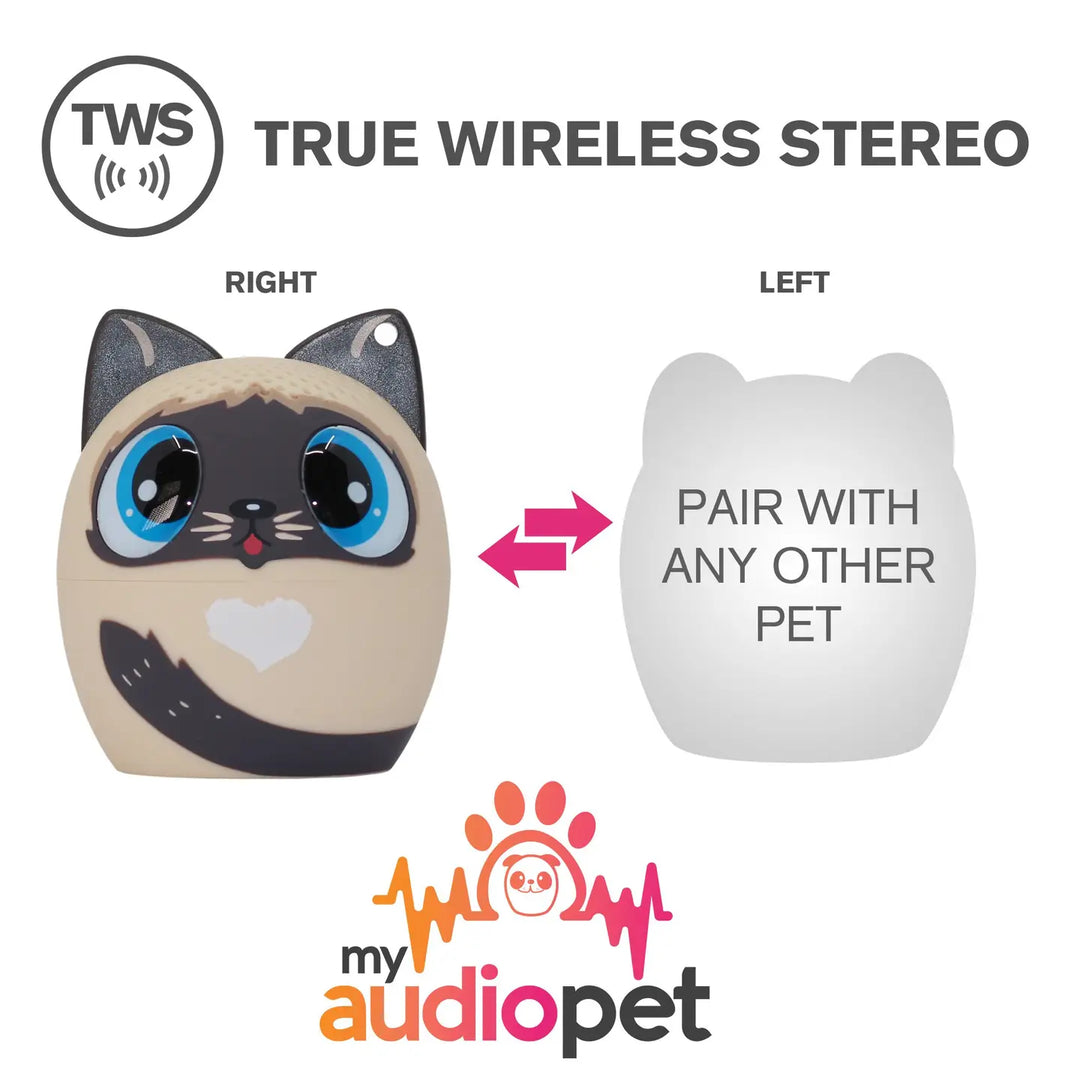 My Audio Pet - Cat2